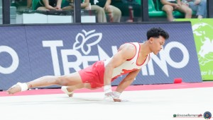 gam sfe07235 copia simone ferraro ph